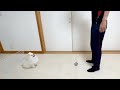 愛犬とサッカー対決したら超面白かったw