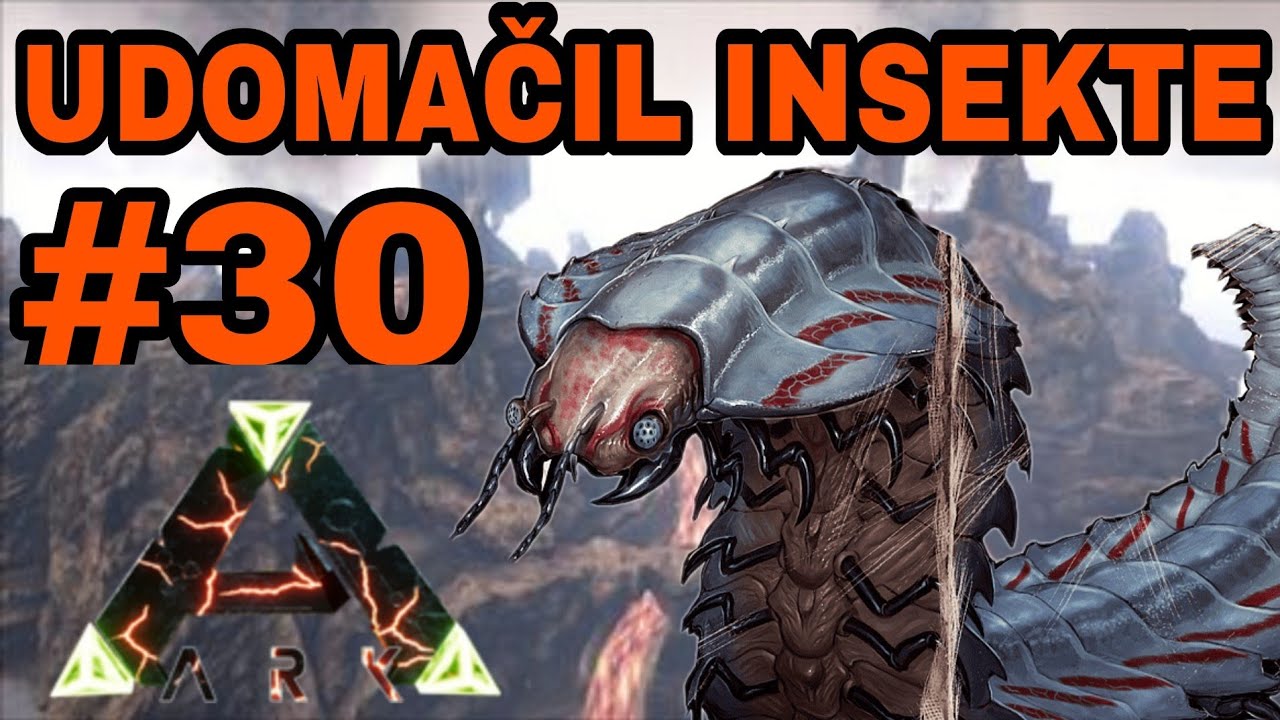 Udomačil sem insekte / #30 ARK [SLO]