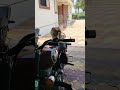 #cat #animals #catvideos #shortvideos #kitty#cute#cat