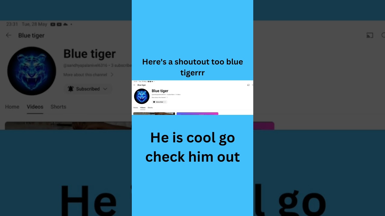 shout out to blue tiger 