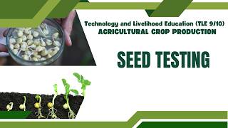 Seed testing