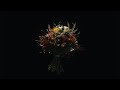 Miniature de la vidéo de la chanson Nos Amours Souterraines