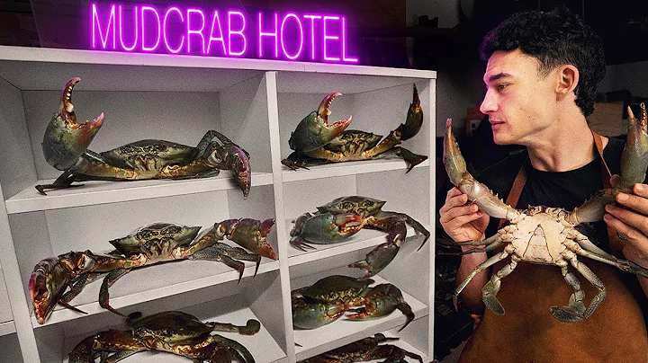 I Farmed Crabs In My Garage. Was It Worth It?