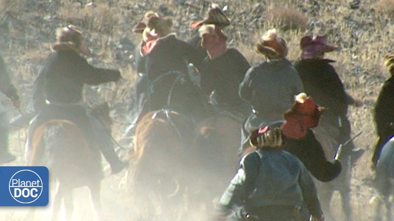 Film backdrop image for The surprising game that takes place in Mongolia and its relation to weddings ... (2021)