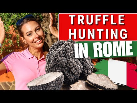 Most Unexpected Experience In Rome, Italy 🇮🇹 Why Do Tourists Miss These Secret Rome Spots?