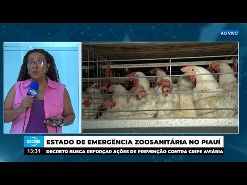 Decreto determina Estado de Emergência Zoosanitária no Piauí contra Gripe Aviária 28 05 2025