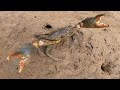 Cruisy Day Up The Creeks // Salmon and Muddies