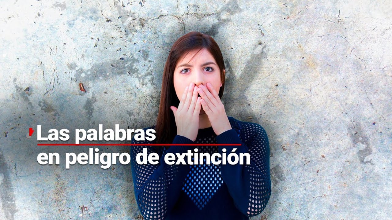 PALABRAS EXTINTAS | ¿Dónde quedó acocharse, fierabras, picudo, ponte ...
