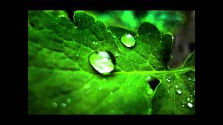Ocean cover (Downface)