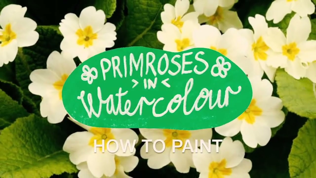 PRIMROSES in watercolour aquarelle painting using masking fluid