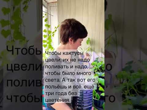 Экспертные советы. О