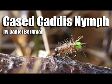 Vídeo: Larva de Caddis: descrição, habitat e reprodução