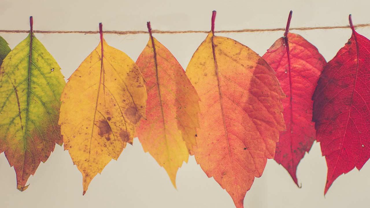 FREE | Gunna Type Beat x DaBaby Type Beat 'AUTUMN' | PROD. BY ACE X JEFE BEAT