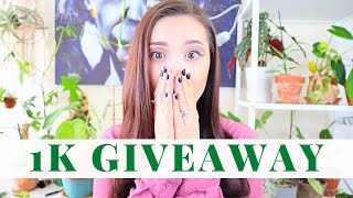 GIVEAWAY !!! | 1,000 SUBSCRIBER HOUSEPLANT GIVEAWAY | Houseplants