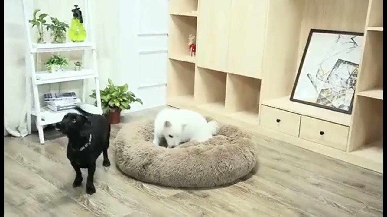 40-90cm 6 Sizes Round Pet Bed for Large Dog Bed Super Soft Cat Bed Plu