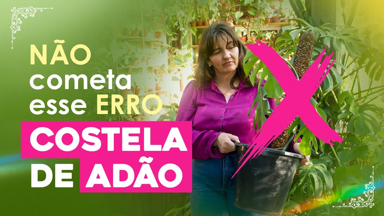 NÃO COMENTA esses ERROS com SUA COSTELA de ADÃO