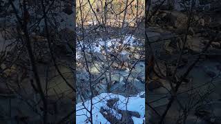 Tract 72 Stream East to West 1