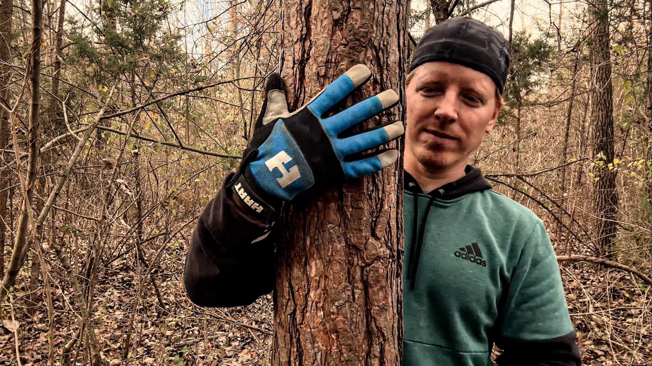 ASMR | Giving a Tree a Massage