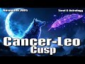 Cancer-Leo Cusp 🐨This November 2025 - Spirit Has a Plan &amp; You’re Being Realigned💫