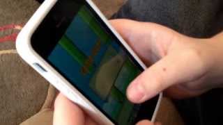 App review: FLAPPY BIRDS screenshot 1
