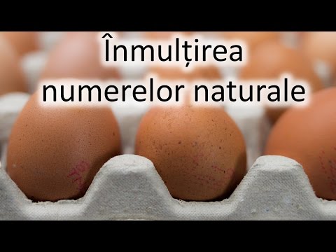 Inmultirea numerelor naturale recapitulare din clasa a 4 a