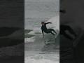 Ian crane surfs puddle jumper sting black sheep mattbiolos  lostsurfboards surfmarket surfshop