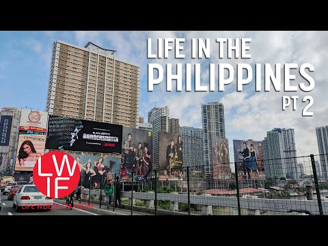 Life in the