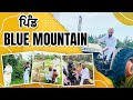 TRIP WITH FAMILY TO BLUE MOUNTAIN || WASAGA || PENDU CANADIAN