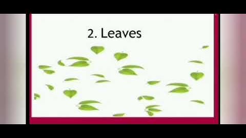 Class 3 Lesson  2 Scienc Green Wealth exercise