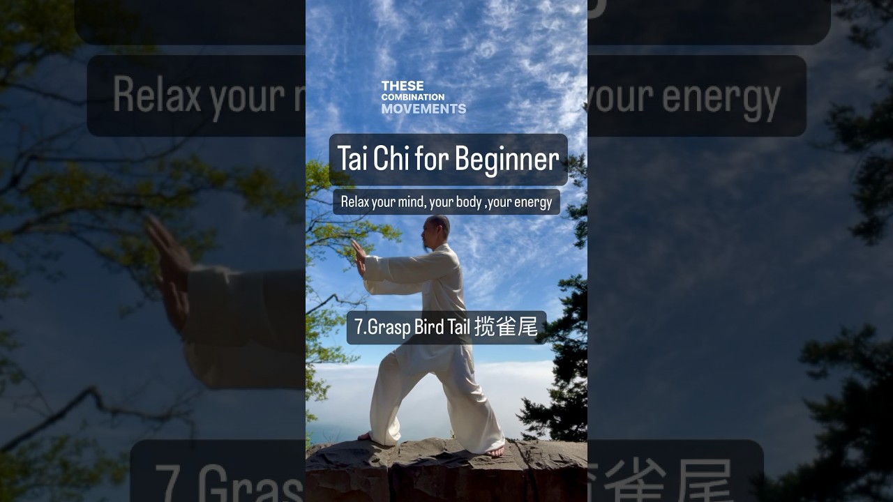 Tai chi for beginner 7. 揽雀尾grasp bird tail Online learning 👉daouniverse.com 