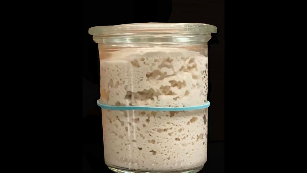 تحضير الخميرة البلدية(الطبيعية) السائلة الخالية من الغلوتين  