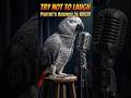 What Did the Rooster Say to the Hen? 🐓 This Parrot’s Answer is GOLD! #parrot #viral #funny