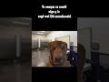 lo que te pasa en el baño #Meme #Humor #DominioTécnico
