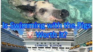 Carnival Elation  Feb.1620 Swimming with the Pigs  ❤❤❤❤❤❤❤❤❤