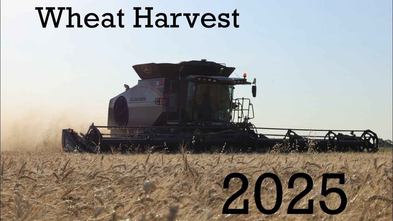 Midwest Custom Wheat Harvest