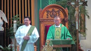 Divine Mercy Parish, Rahway NJ , 6TH SUNDAY IN ORDINARY TIME  FEB/15/2026