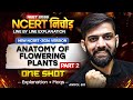 NCERT निचोड़ Anatomy of Flowering Plants | NCERT Line by Line Explanation for NEET 2026  | Part 2
