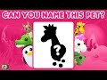 Name that Adopt Me Pet | 20 pets to identify in this challenge