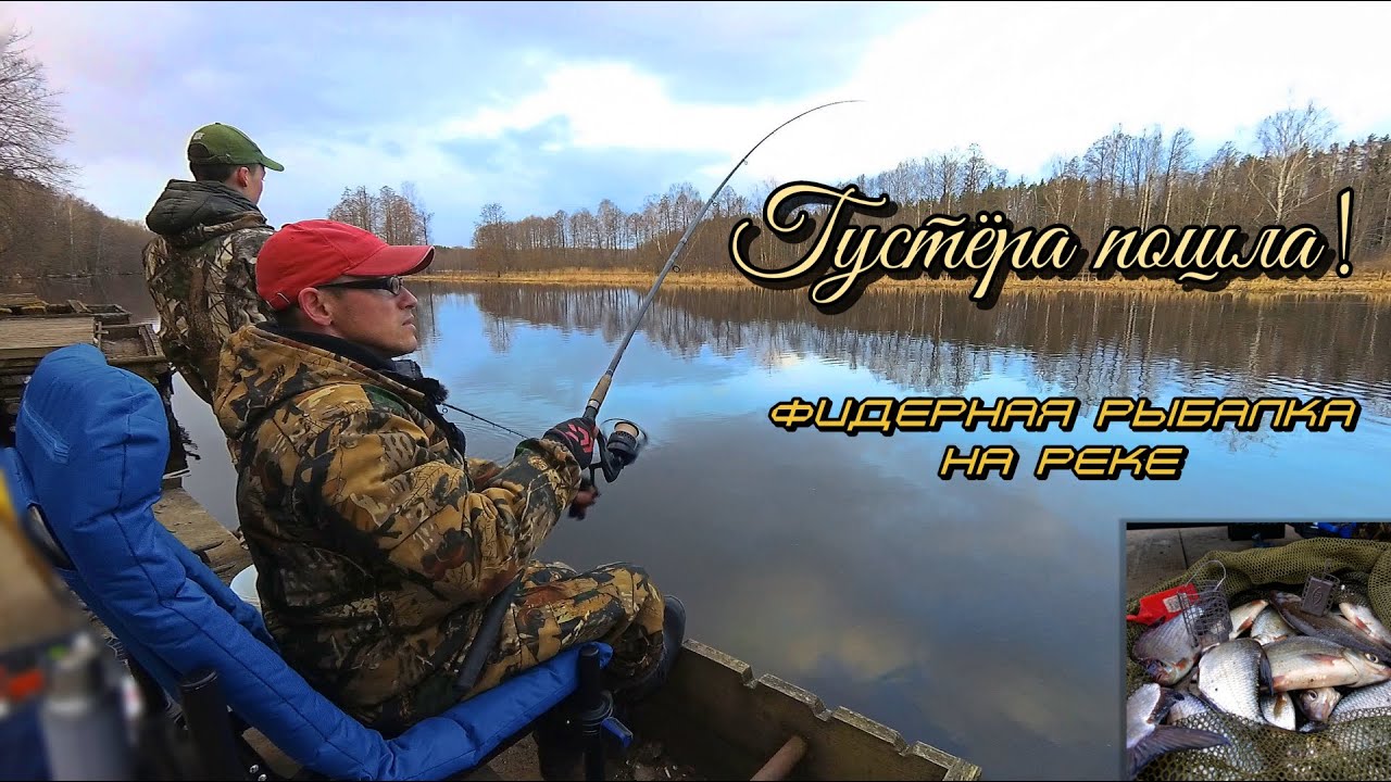 Фидерная рыбалка на волге