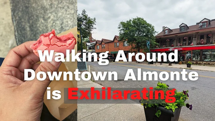 Walking Tour Discovering The Charm of Downtown Alm...