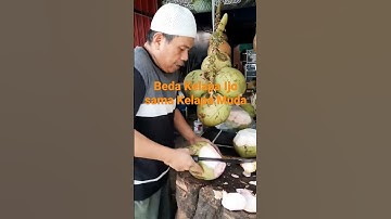 Ini Beda Kelapa Ijo sama Kelapa Muda | #shorts