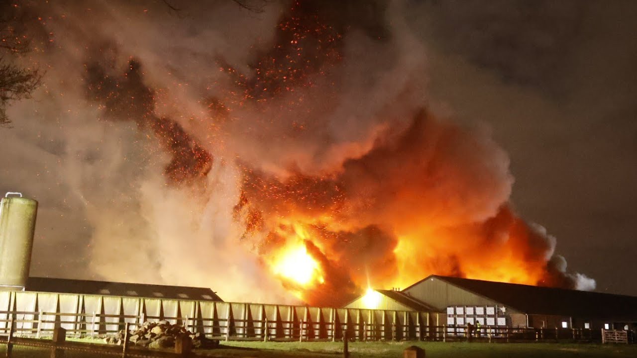 Zeer grote brand in een stal in Boekel