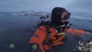 Vlog 14 Duik Exploratie Arctisch Noorwegen Diving Exploration Arctic Norway