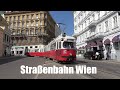 Straßenbahn Wien (mit Wiener Lokalbahn) 2019