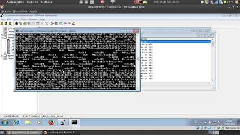 Hacking con Python -Parte XXXI – Examinando programas y librerías con PEFile y PyDASM