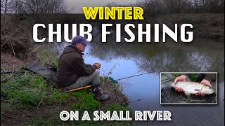 Winter Chub Fishing on a Small River