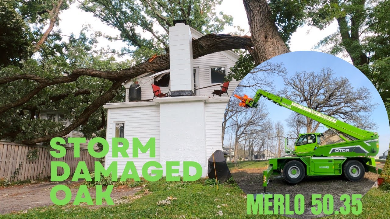 Oak tree falls on 2 houses! Removed with the Merlo - YouTube