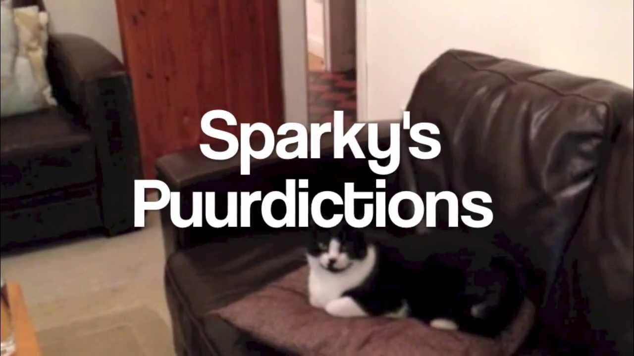 Heart Drivetime Sparkys Puurdictions Episode 1 YouTube