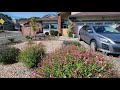 20230429 SLD takes garden front yard video 16 28 46