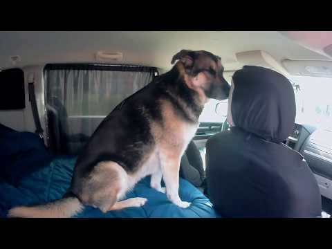 dodge-mini-van-curtains--bed-c